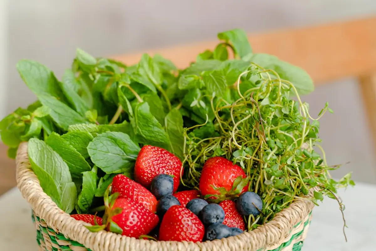 Basket of fresh leafy greens with strawberries and blueberries, suggesting arugula as a greens option for bearded dragons.