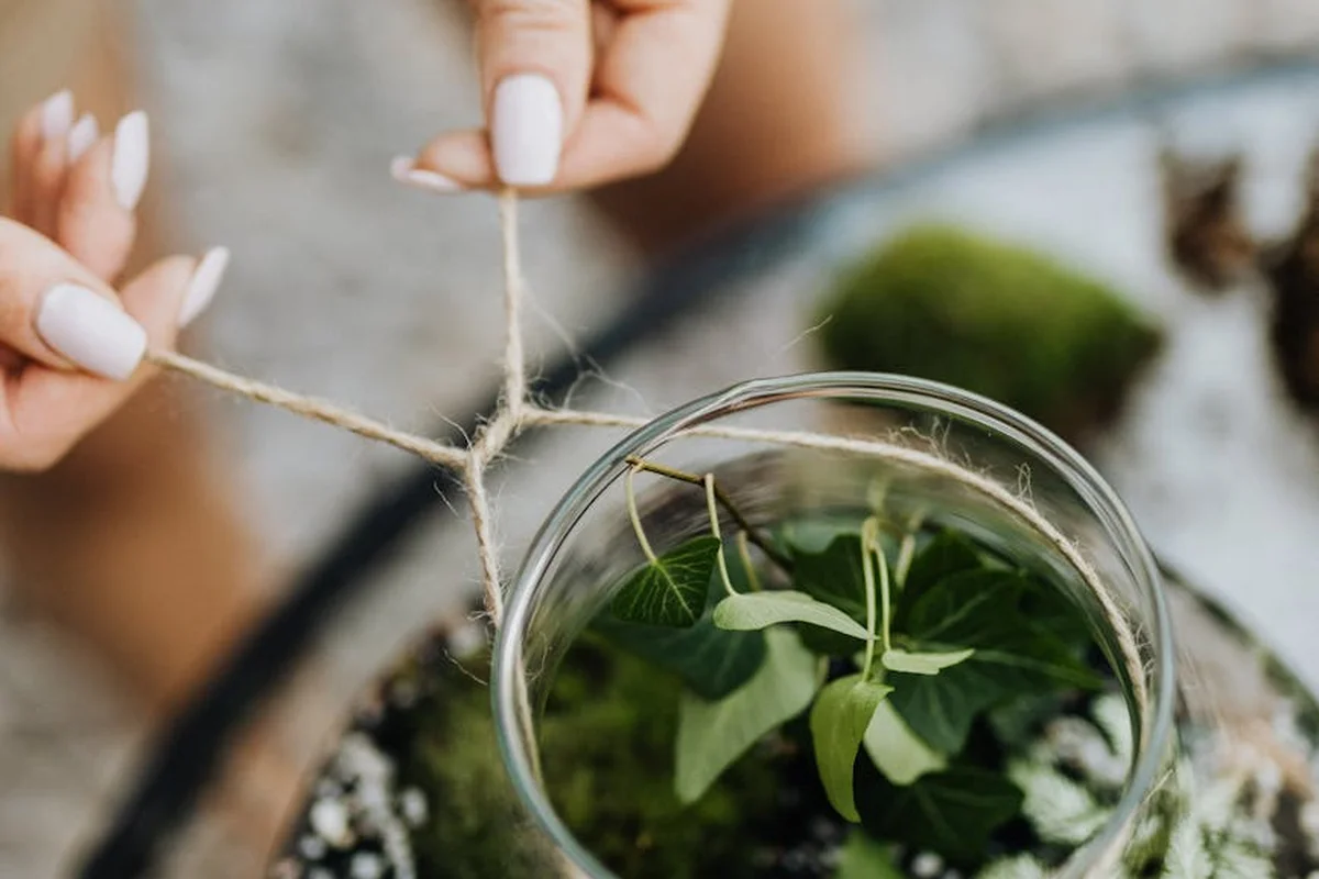 Hands tie twine around a glass jar containing a small plant, illustrating a DIY enclosure concept
