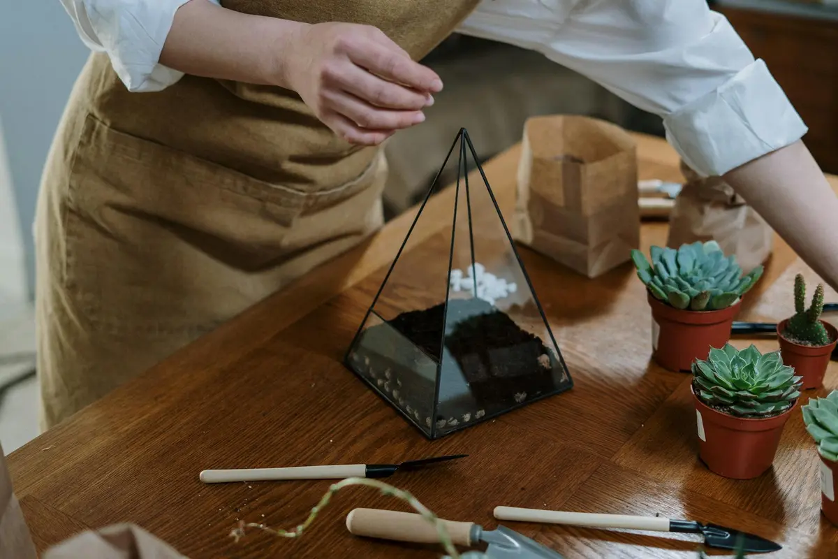 A person in a brown apron works on a glass bearded dragon enclosure on a wooden table, with tools, a small terrarium, and potted plants nearby.