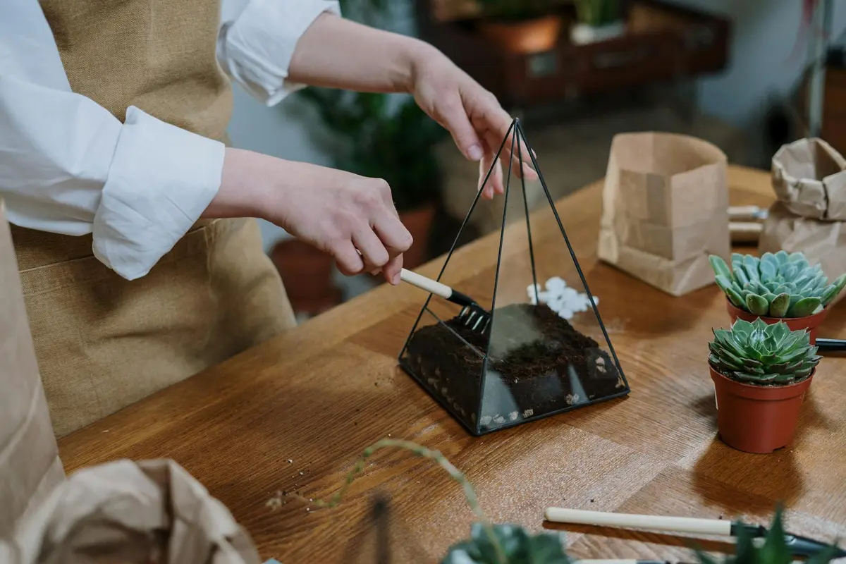 Hands assembling a geometric glass terrarium on a wooden workbench, with small potted succulents nearby.