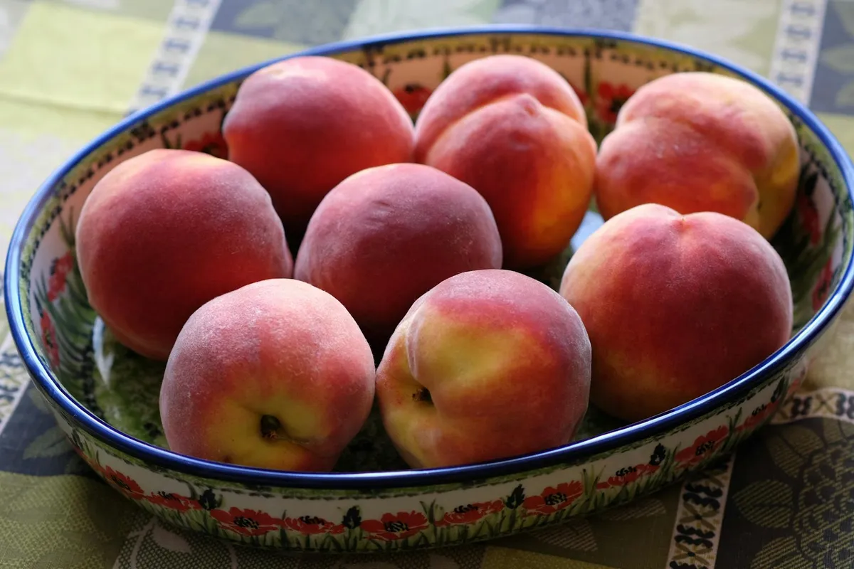 A decorative bowl filled with ripe peaches, ready for bearded dragon feeding