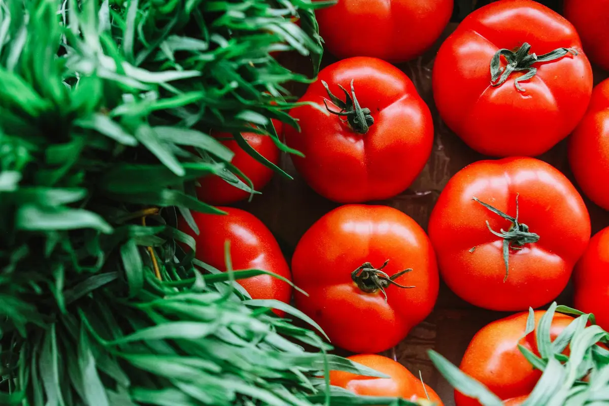 Fresh tomatoes and a bed of leafy greens on a wooden surface, representing salad ingredients for bearded dragons.