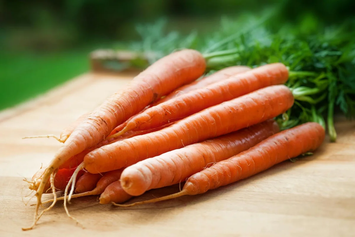 Fresh carrots with leafy greens on a wooden surface
