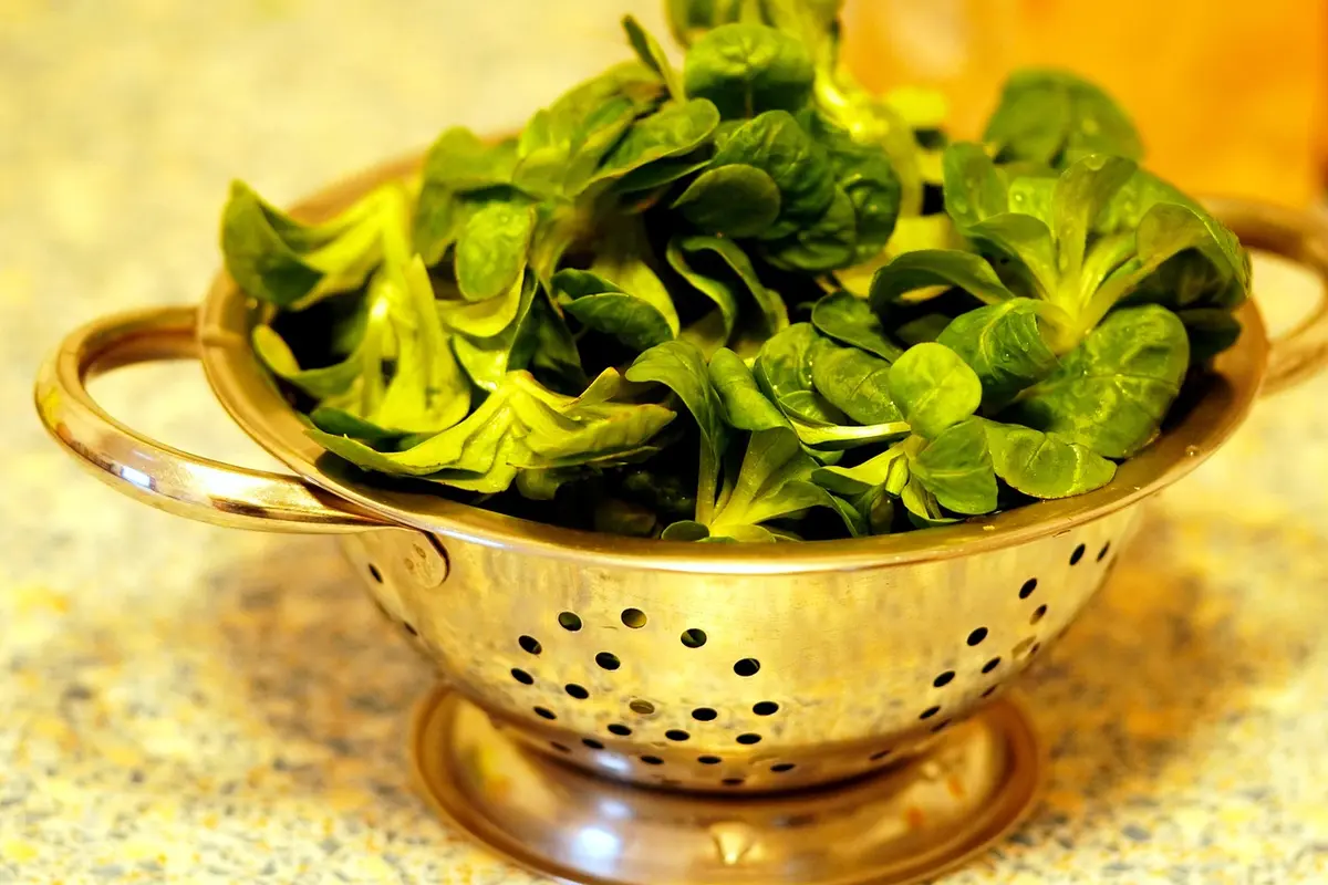 Fresh leafy greens in a metal colander on a kitchen counter.