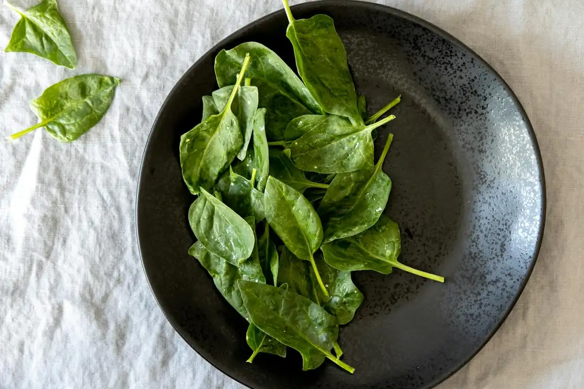 Fresh spinach leaves arranged on a dark plate
