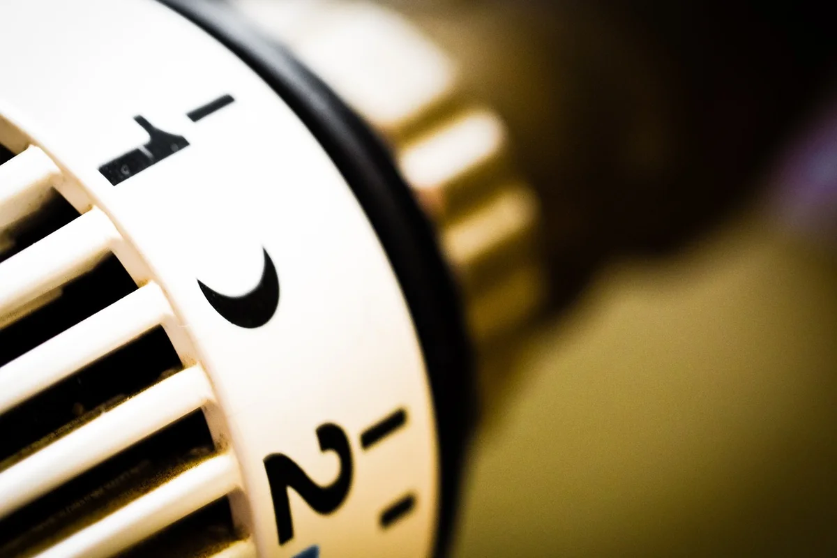 Close-up of a thermostat dial used to regulate heat in a reptile heating system.