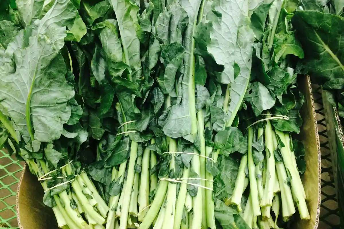 Fresh turnip greens with pale stems and dark green leaves arranged in a pile