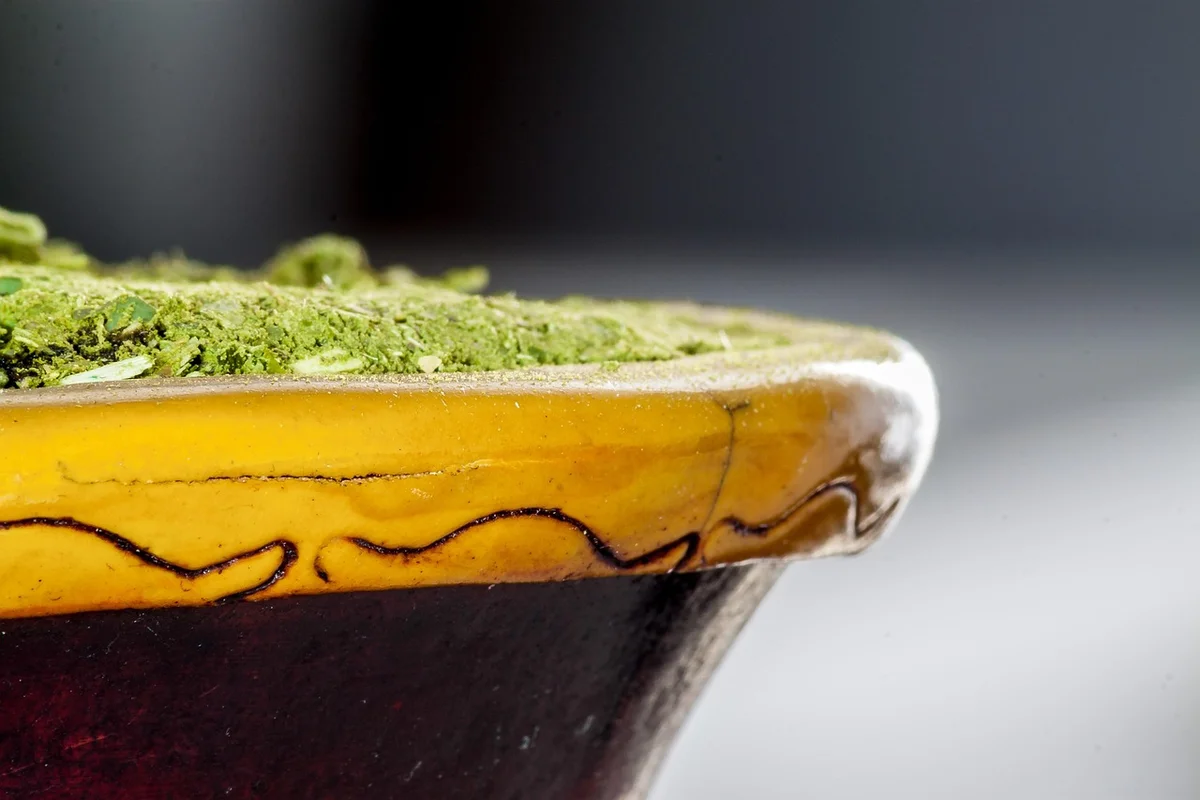 Close-up of a moss-covered plant in a yellow ceramic pot