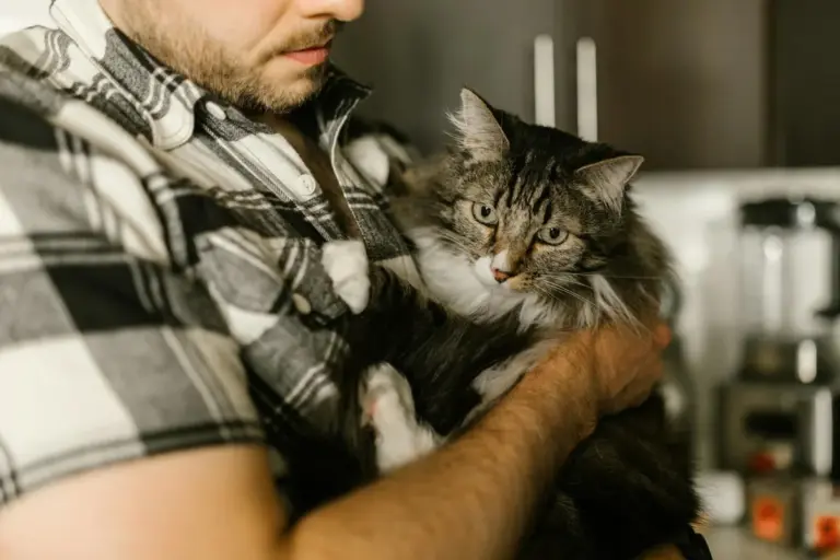 Man in a plaid shirt gently holding a fluffy gray and white cat in a kitchen.